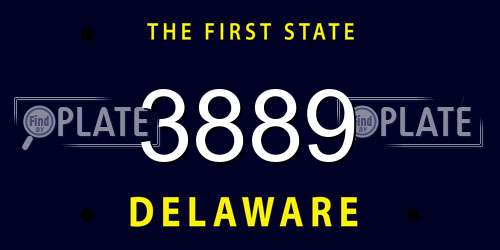 3889 Delaware License Plate