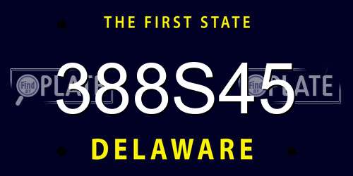 388S45 Delaware License Plate