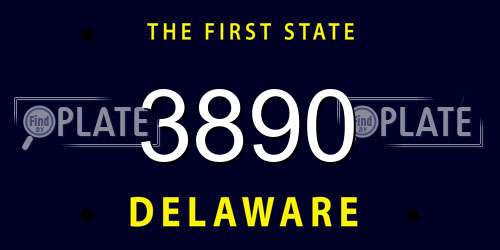 3890 Delaware License Plate