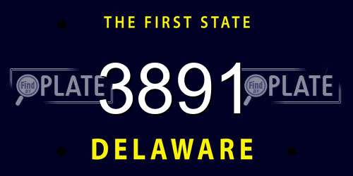 3891 Delaware License Plate