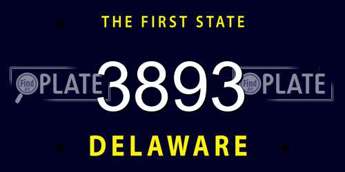 3893 Delaware License Plate