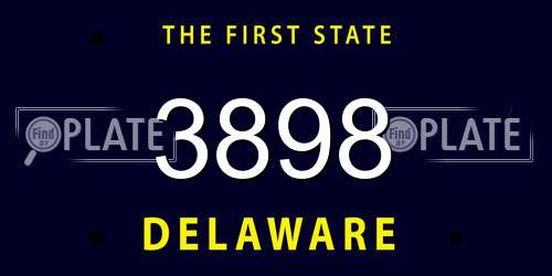 3898 Delaware License Plate