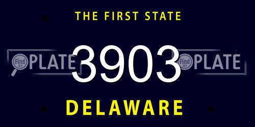 3903 Delaware License Plate