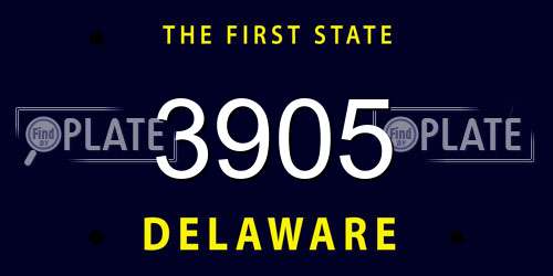3905 Delaware License Plate