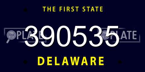 390535 Delaware License Plate
