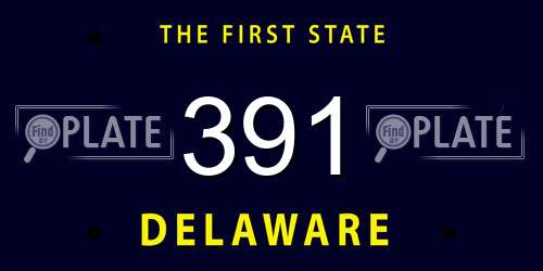 391 Delaware License Plate