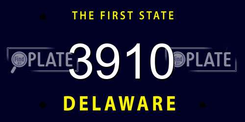 3910 Delaware License Plate