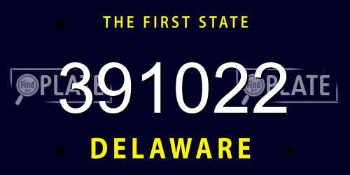 391022 Delaware License Plate