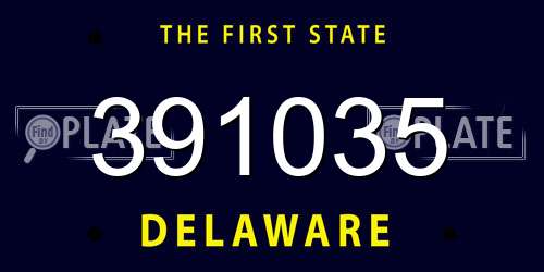 391035 Delaware License Plate