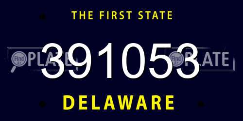 391053 Delaware License Plate