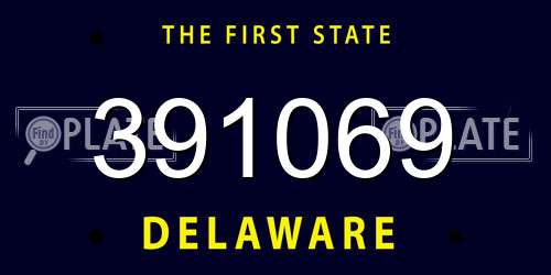 391069 Delaware License Plate