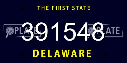 391548 Delaware License Plate