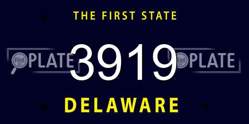3919 Delaware License Plate