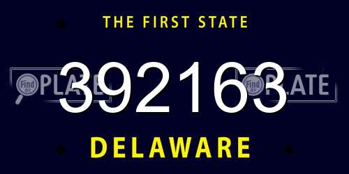 392163 Delaware License Plate