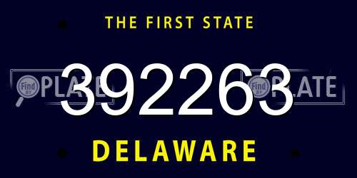 392263 Delaware License Plate
