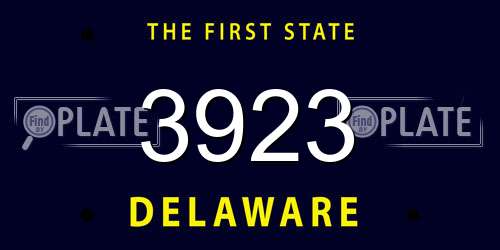 3923 Delaware License Plate