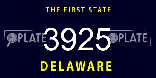 3925 Delaware License Plate