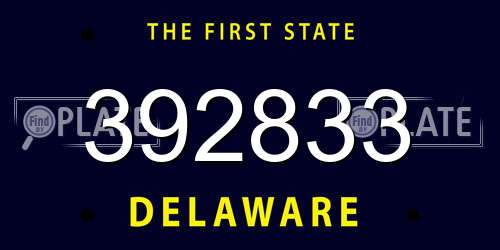 392833 Delaware License Plate