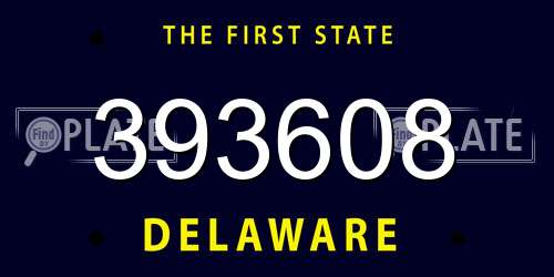 393608 Delaware License Plate