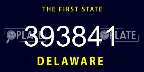 393841 Delaware License Plate