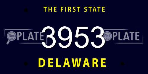 3953 Delaware License Plate