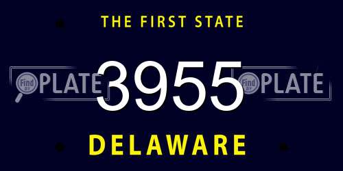 3955 Delaware License Plate