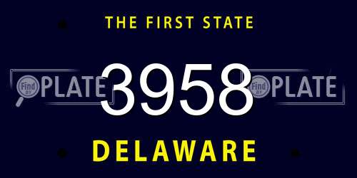 3958 Delaware License Plate