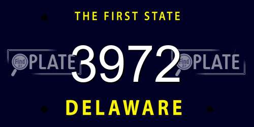 3972 Delaware License Plate