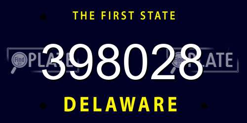 398028 Delaware License Plate