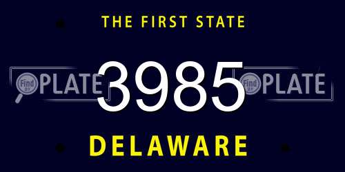 3985 Delaware License Plate