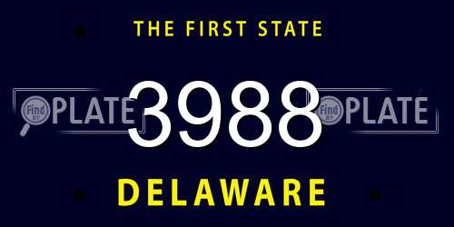 3988 Delaware License Plate