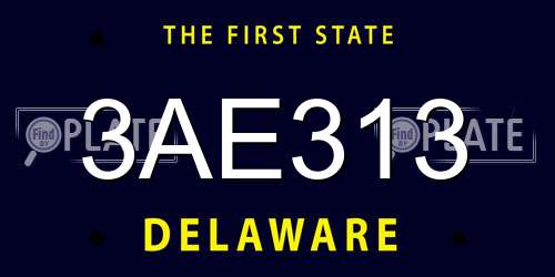 3AE313 Delaware License Plate