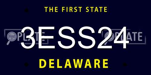 3ESS24 Delaware License Plate