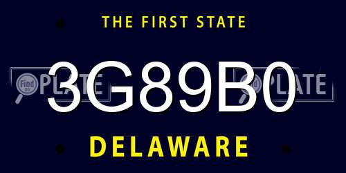 3G89B0 Delaware License Plate