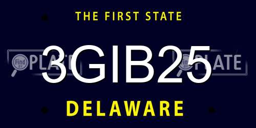 3GIB25 Delaware License Plate