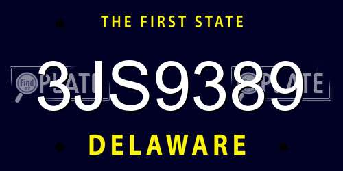 3JS9389 Delaware License Plate