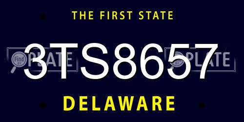 3TS8657 Delaware License Plate