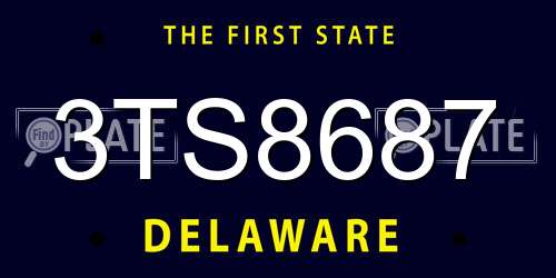 3TS8687 Delaware License Plate