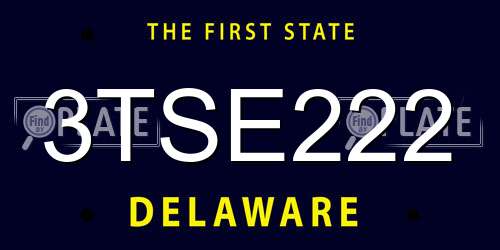3TSE222 Delaware License Plate