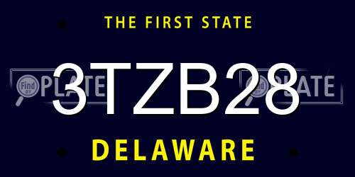 3TZB28 Delaware License Plate