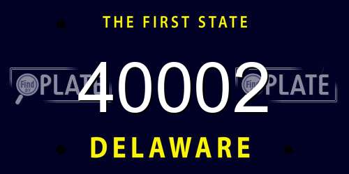 40002 Delaware License Plate