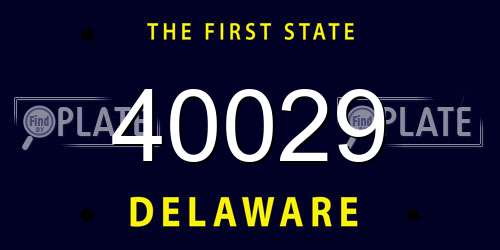 40029 Delaware License Plate