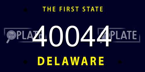 40044 Delaware License Plate