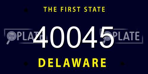 40045 Delaware License Plate