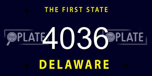 4036 Delaware License Plate