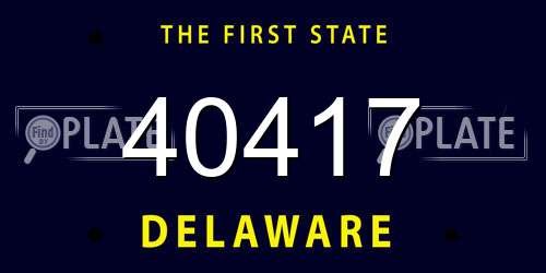 40417 Delaware License Plate