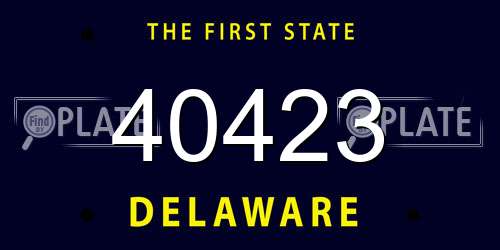 40423 Delaware License Plate