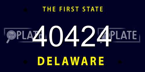 40424 Delaware License Plate