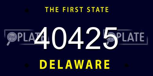 40425 Delaware License Plate