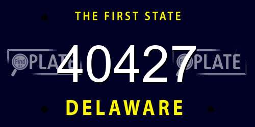 40427 Delaware License Plate